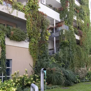 Modern facade with lush greenery and a sculpture in the front garden