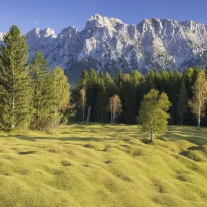 Mogul meadows between Mittenwald and Kruen