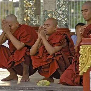 Monks at Shwedagonpagoda, Yangoon