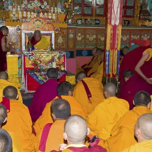 Monks wearing yellow cloths listening the teachings of Taklung Tsetru Rinpoche in Junbesi Gompa Monks wearing yellow cloths listening the teachings of Taklung Tsetru Rinpoche in Junbesi Gompa