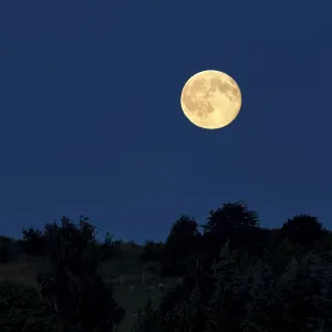 Full moon in the night sky over Alt Reddevitz Monchgut Full moon in the night sky over Alt Reddevitz Monchgut