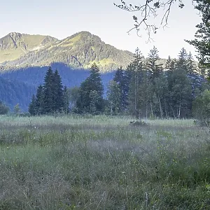 Moor at sunrise in spring, moor pond near Oberstdorf Moor at sunrise in spring, moor pond near Oberstdorf