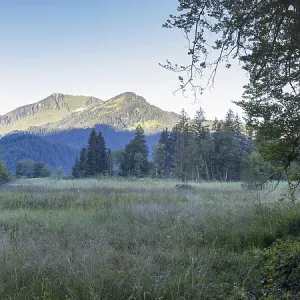 Moor at sunrise in spring, moor pond near Oberstdorf Moor at sunrise in spring, moor pond near Oberstdorf