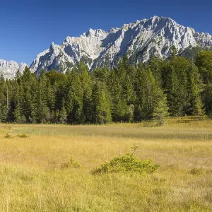 Moorland near Lautersee, near Mittenwald