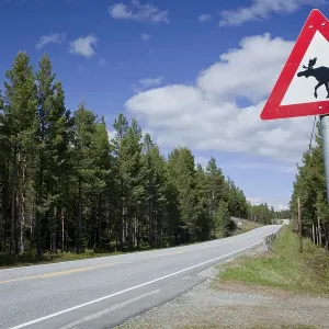 Moose warning sign, Norway, Scandinavia, Europe