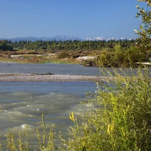 Morgenstimmung an der Isar, Pupplinger Au Morgenstimmung an der Isar, Pupplinger Au
