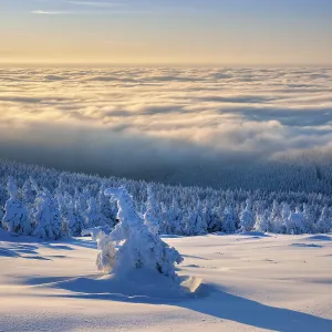 Morning atmosphere on the Brocken
