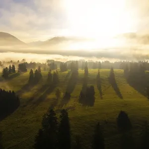 Morning light breaks through fog in picturesque grassy landscape with mountains in the background