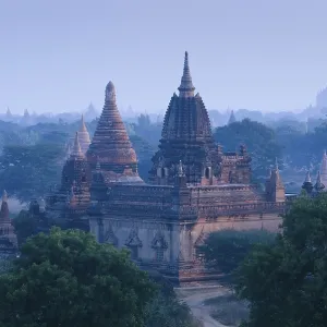 Morning mood over the pagoda field