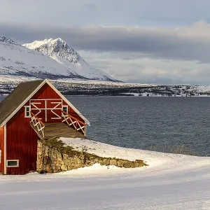 Morning at Tromsdalenfjord, Troms, Norway