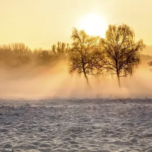Morning winter landscape, Schildow