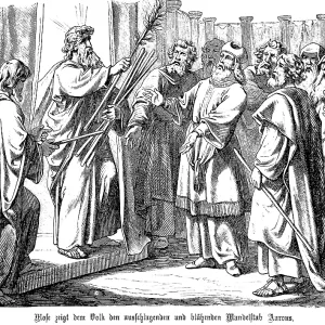Moses Shows the Sprouting Almond Staff Print, 1877
