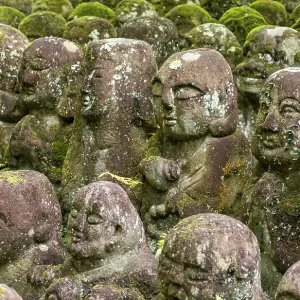 Moss-covered stone statues of rakans Moss-covered stone statues of rakans