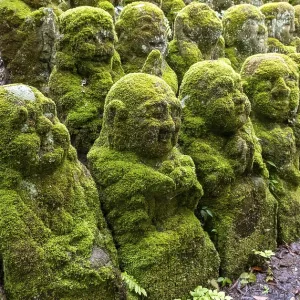 Moss-covered stone statues of rakans Moss-covered stone statues of rakans
