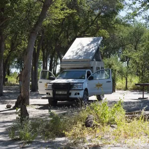Motorhome on a shady woodland surrounded by trees and sunshine Motorhome on a shady woodland surrounded by trees and sunshine