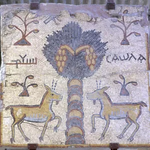 Mount Nebo, mosaic, Es-syagha mosaic floor