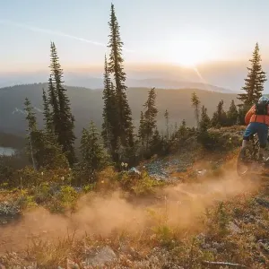 Mountain biker descending a forest trail at sunset, surrounded by trees and raising dust, Baldy Mountain, Nelson, BC, Canada, North America