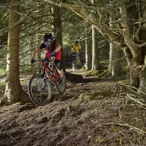 Mountain bikers, downhill bikers riding a downhill trail through the woods