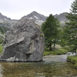 Mountain creek, italy Mountain creek, italy