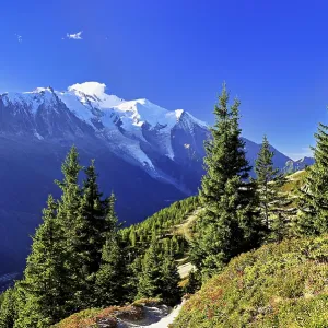 Mountain Forest Print, Chamonix-Mont-Blanc, France