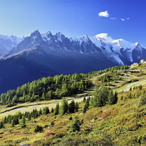 Mountain forest in an autumnal landscape with the snow-covered Mont Blanc massif in the background Mountain forest in an autumnal landscape with the snow-covered Mont Blanc massif in the background