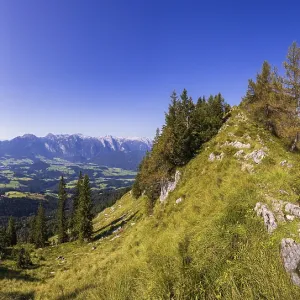 Mountain forest on the way to the Einberg with a view of the Lammertal and Tennengebirge Mountain forest on the way to the Einberg with a view of the Lammertal and Tennengebirge