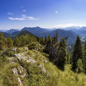 Mountain forest on the way to the Einberg with a view of the Osterhorn group Mountain forest on the way to the Einberg with a view of the Osterhorn group