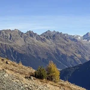 Mountain hiking trail with mountain views towards Sardasca and Silvretta in autumn