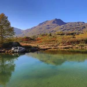 Mountain lake with reflecting water areas and lonely tree against mountain backdrop