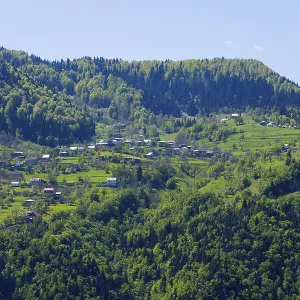 Mountain landscape with green meadows and forests