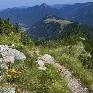 Mountain landscape, hiking trail to Regenspitz with view to Feichtensteinalm