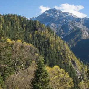 Mountain landscape, Jiuzhaigou National Park