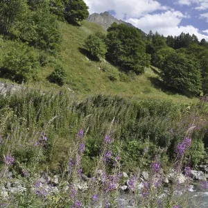 Mountain panorama of Savoy near Valloire in France