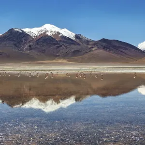 Mountain peak with snow cover reflected in the lake under clear blue sky