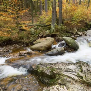 Mountain stream Ilse in autumn Mountain stream Ilse in autumn