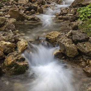 Mountain stream on the Seiser Alm