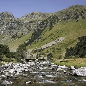 Mountain torrent, landscape in the Pyrenees Mountain torrent, landscape in the Pyrenees