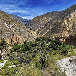 Colca Canyon Landscape Print - Peru