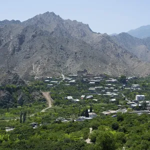 Mountain village with lush vegetation