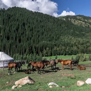 Mountain yurt. Turgen gorge Mountain yurt. Turgen gorge