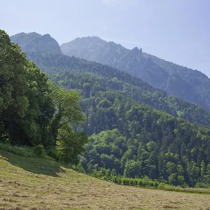 Mountains, Bad Reichenhall, Berchtesgadner Land