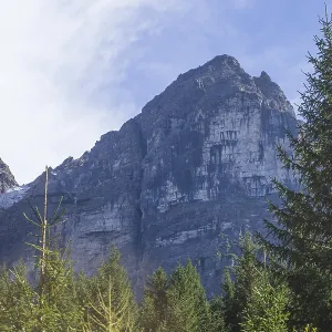 Mountains and forest in autumn