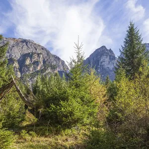 Mountains and forest in autumn