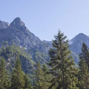 Mountains and forest in autumn