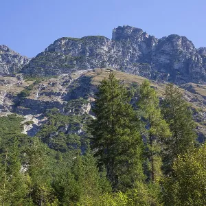 Mountains and forest in autumn