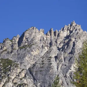 Mountains and forest in autumn