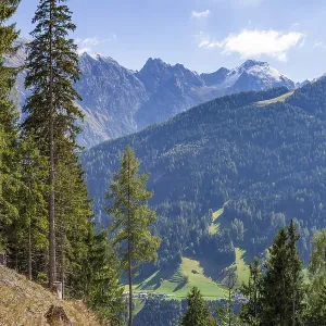 Mountains with forest and trees in autumn
