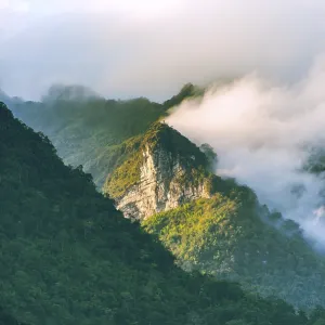 Mountains, karst mountains, forest