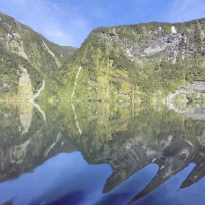 Mountains with reflections in the water against a blue sky in Doubtful Sound