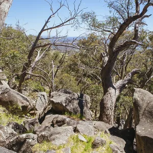 Mt Alexander Regional Park Print - Clear Day Views